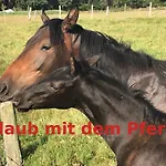 Hardtmuehle 아파트 Momberg