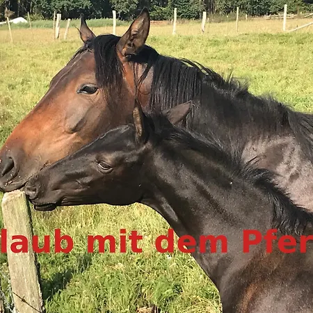 Hardtmuehle Apartmán Momberg