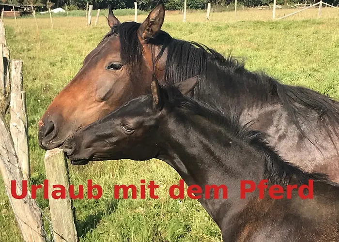 Hardtmuehle Apartman Momberg