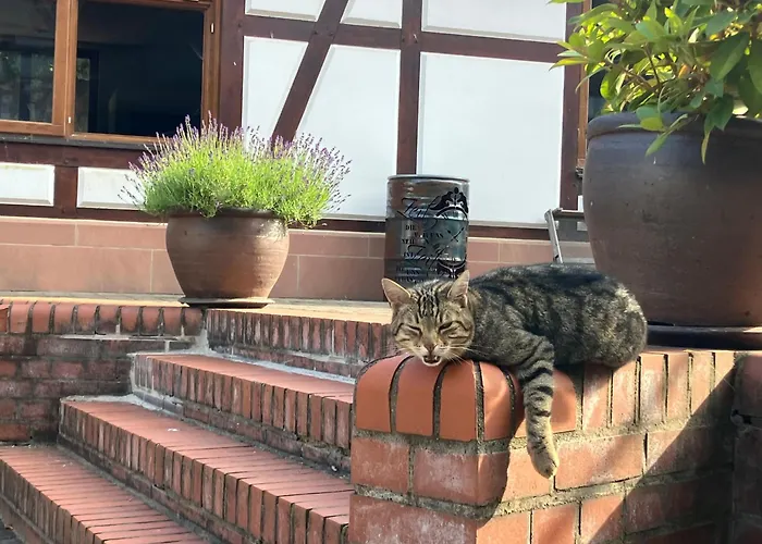 Apartman Hardtmuehle *